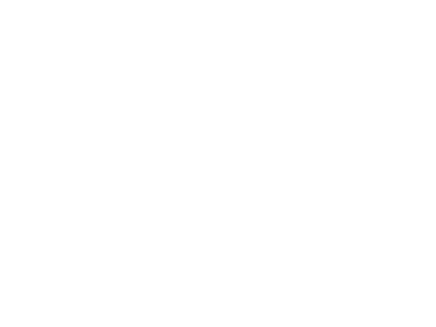 Google Partner Premier